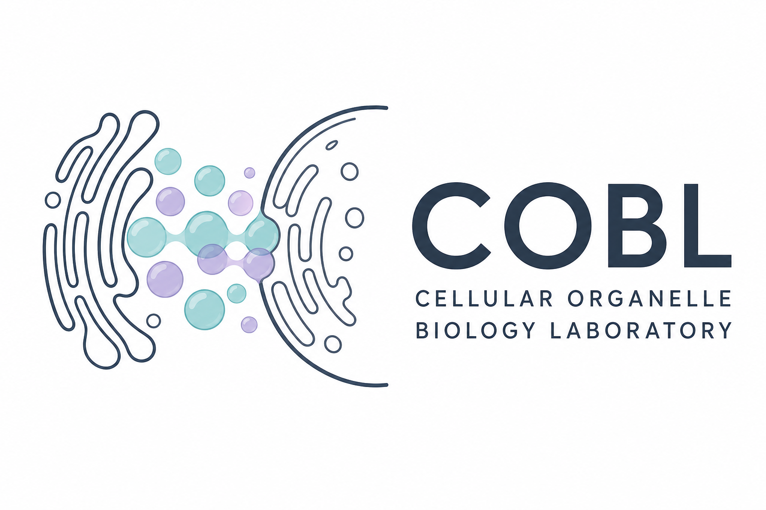 COBL